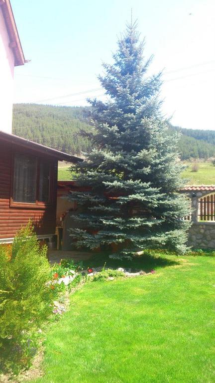 Guest House Diva Reka Beli Iskar Zewnętrze zdjęcie
